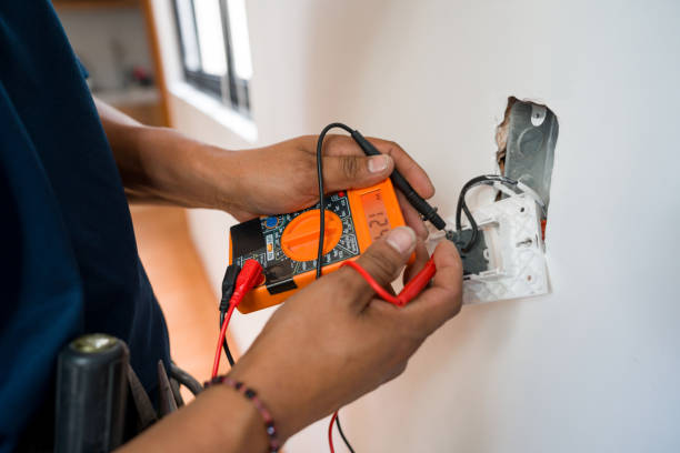 Best Local Electrician Companies  in Bridgman, MI