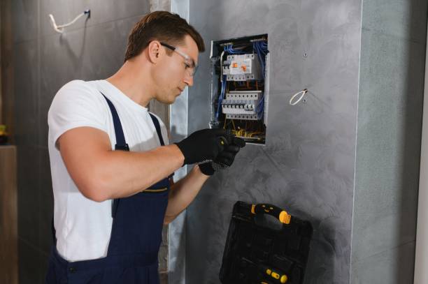 Best Electrician Near Me  in Bridgman, MI