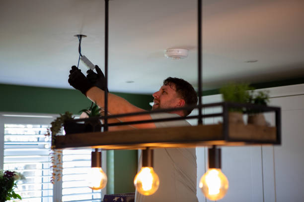 Best Residential Electrician Services  in Bridgman, MI