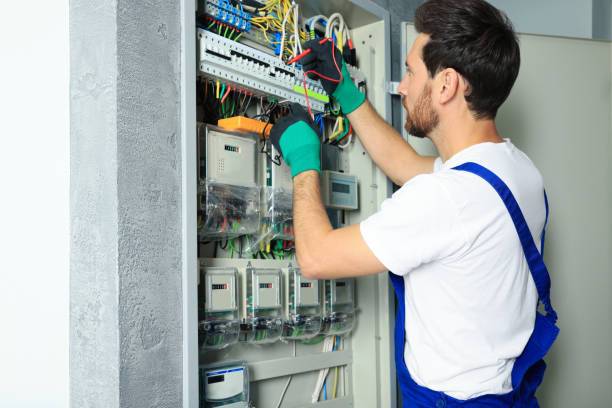 Best Industrial Electrical Services  in Bridgman, MI