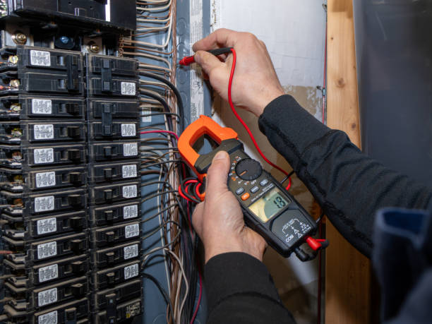Best Affordable Electrician  in Bridgman, MI